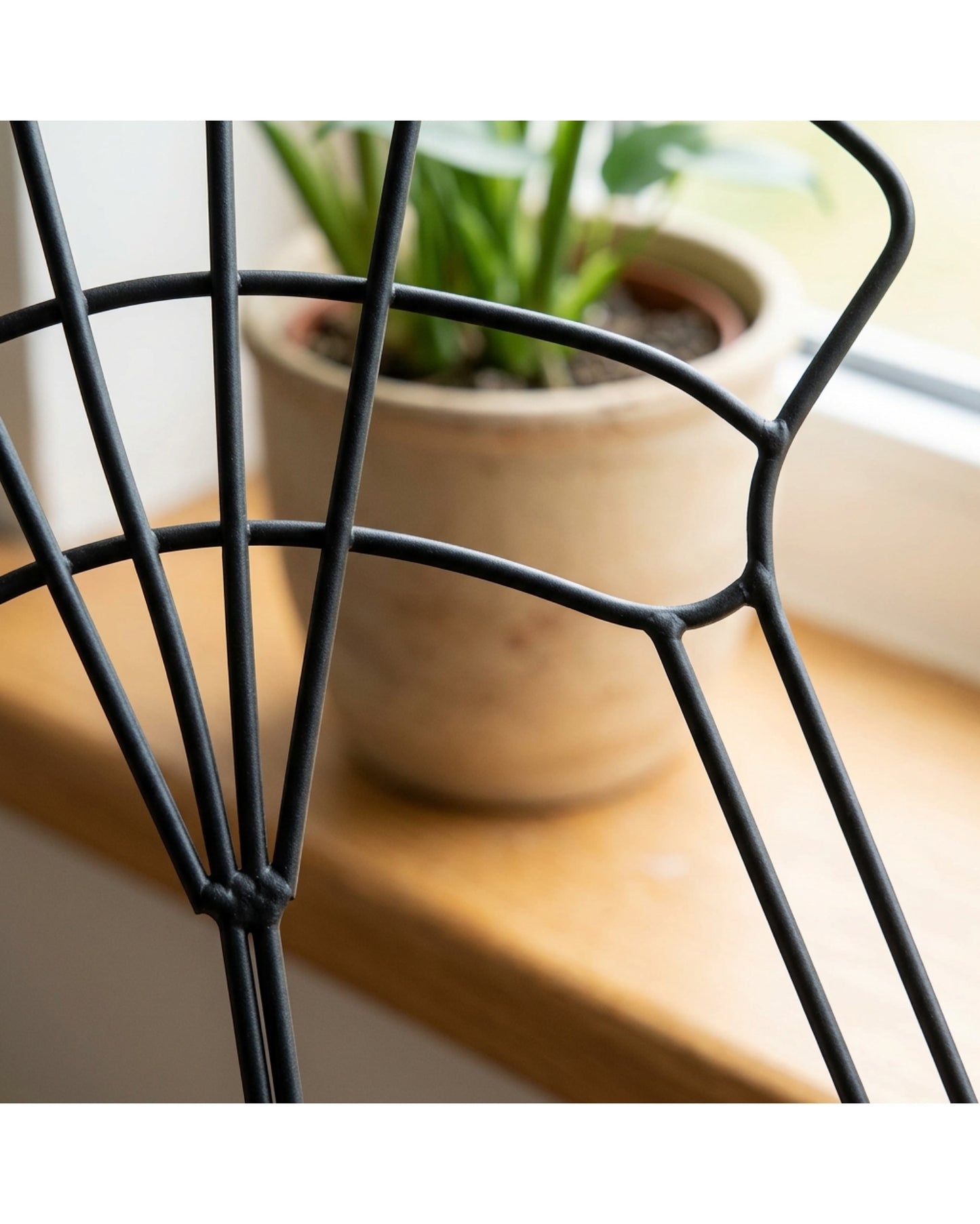 Kndwj Fan Grid Plant Trellises Two Piece Black 18 Inch - Detail view