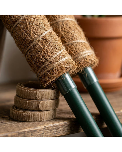 Kndwj Bendable Coir Moss Poles Two Piece Natural 24 Inch - Detail view
